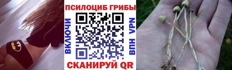 Псилоцибиновые грибы GOLDEN TEACHER  купить  цена  Берёзовский 